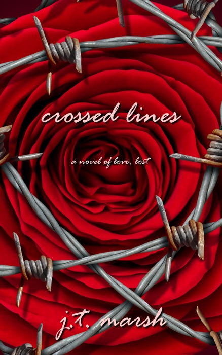 Crossed Lines: A Novel of Love, Lost