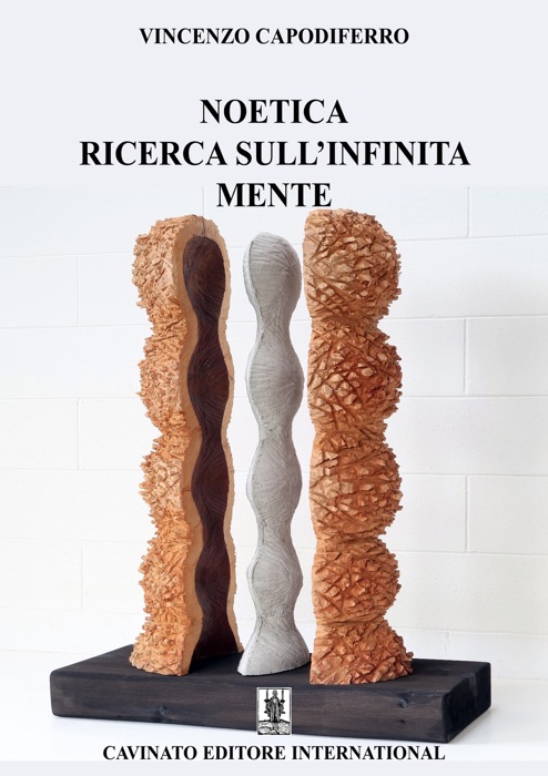 Noetica ricerca sull'infinita mente