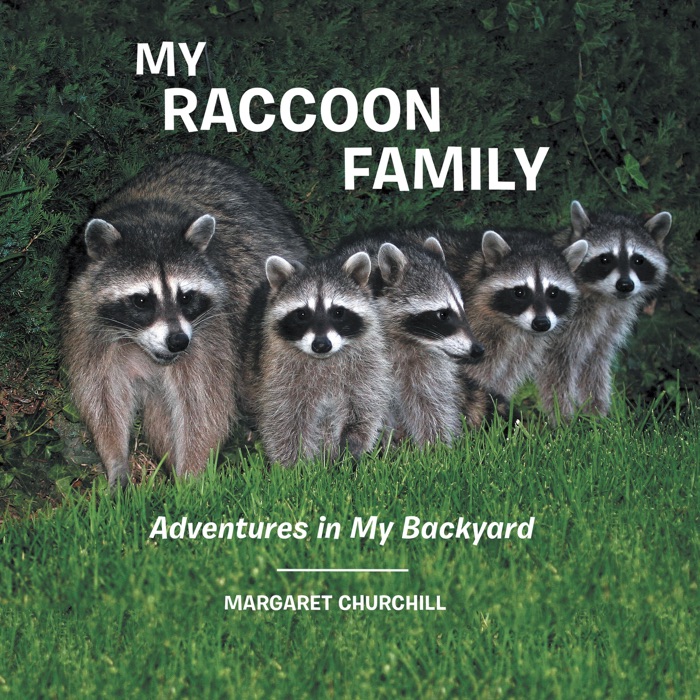 My Raccoon Family