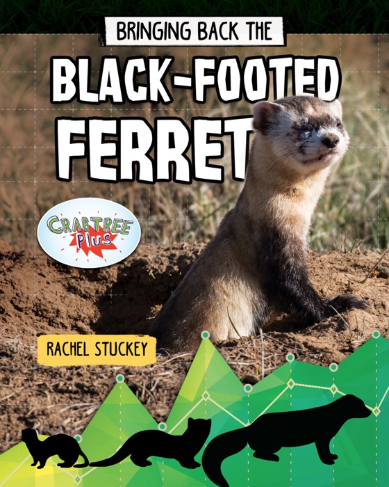 Bringing Back the Black-Footed Ferret