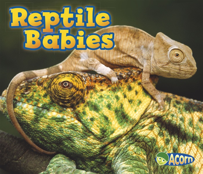 Reptile Babies