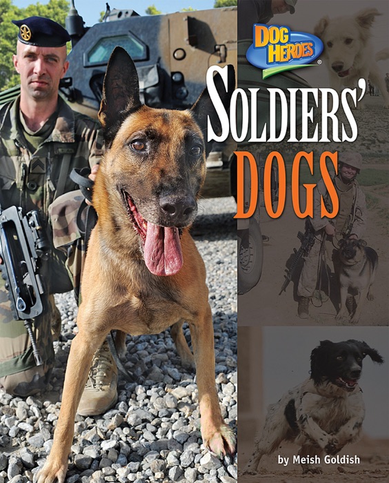 Soldiers' Dogs