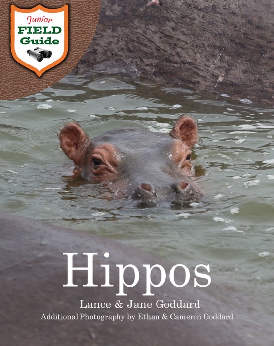 Hippos