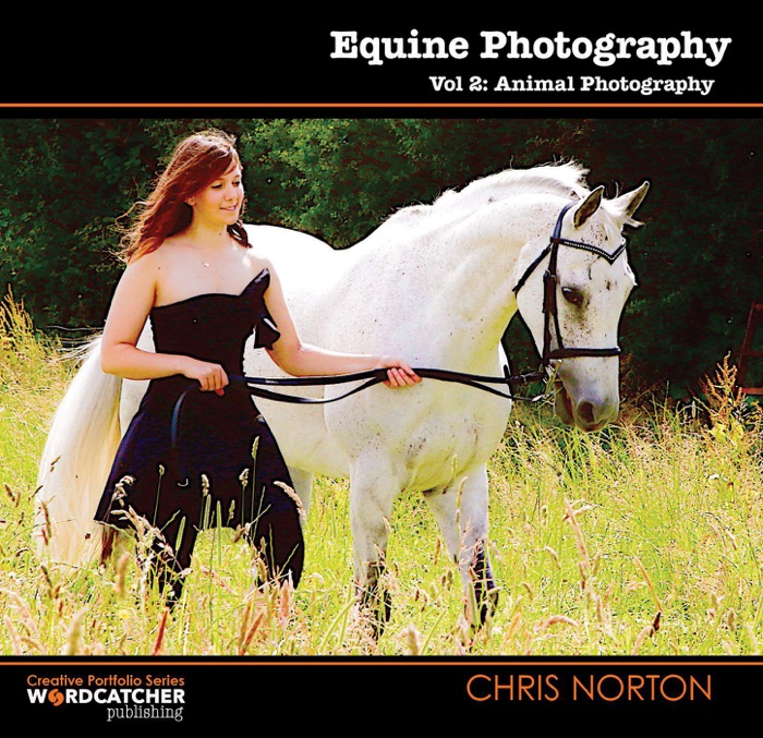 Equine Photography