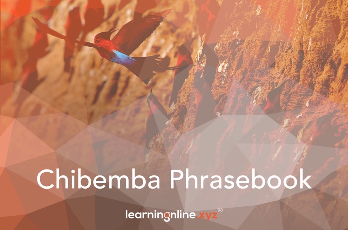 Chibemba Light Phrasebook