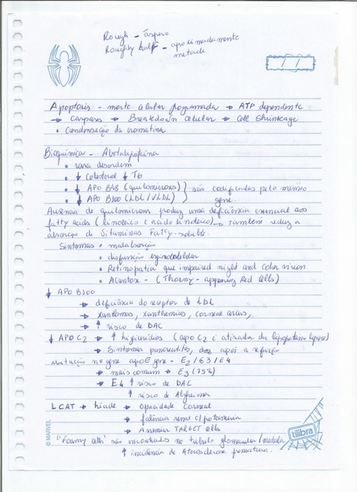 USMLE Brasil 1