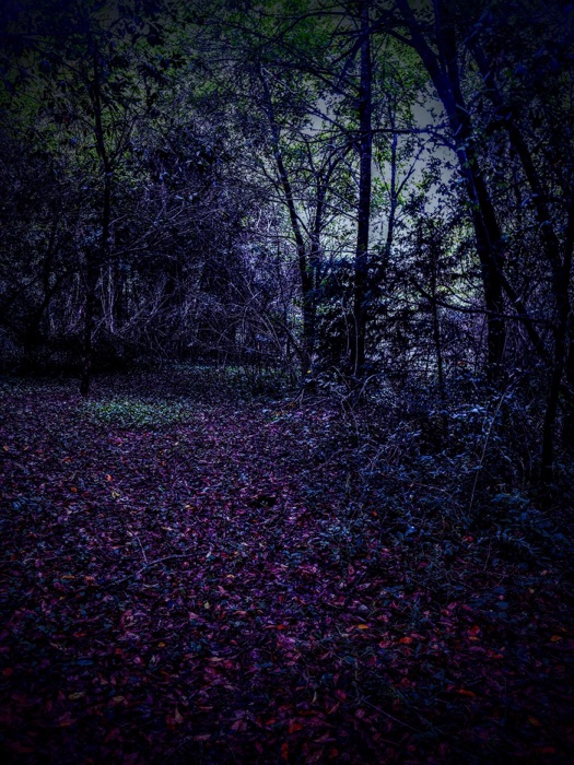 Ghost Games