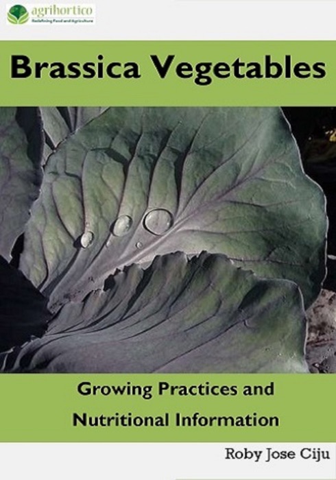 Brassica Vegetables: Growing Practices and Nutritional Information