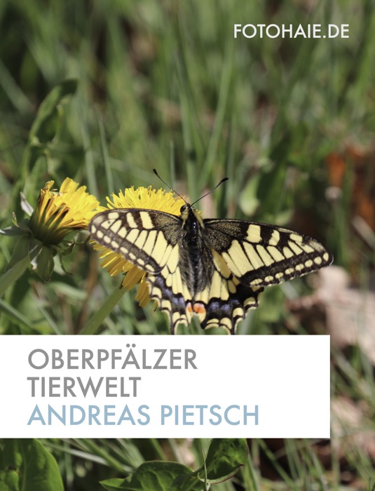 Oberpfälzer Tierwelt