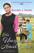 His Unexpected Amish Twins - Rachel J Good