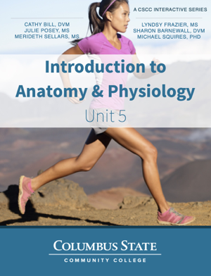 Read & Download Introduction to Anatomy and Physiology - Unit 5 Book by Cathy Bill, Julie Posey, Merideth Sellars, Lyndsy Frazier, Sharon Barnewall & Michael Squires Online