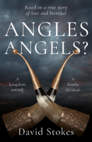 David Stokes - Angles or Angels? artwork