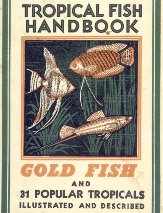 Tropical Fish Handbook