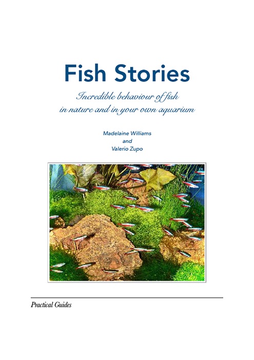 Fish Stories