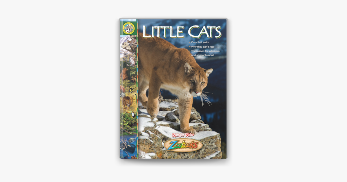 zoobooks little cats