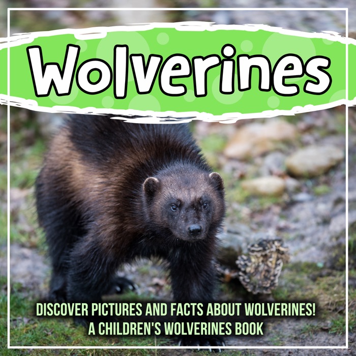 Wolverines: Discover Pictures and Facts About Wolverines! A Children's Wolverines Book