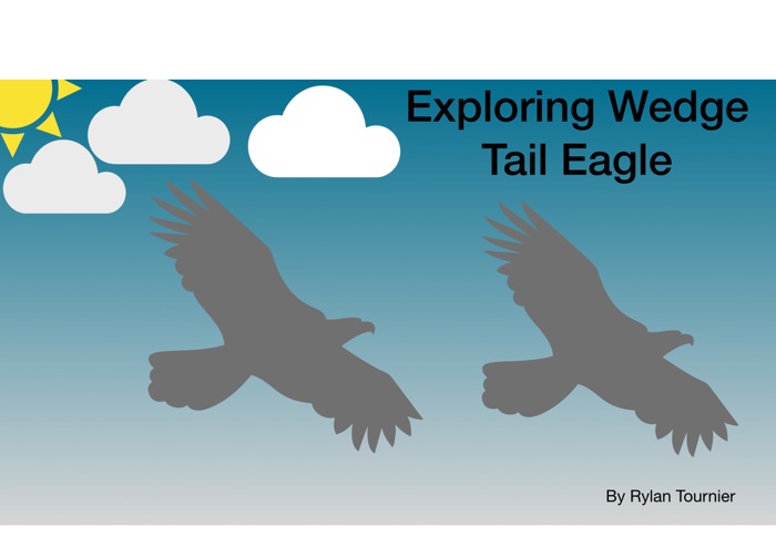 Exploring Wedge Tail Eagles