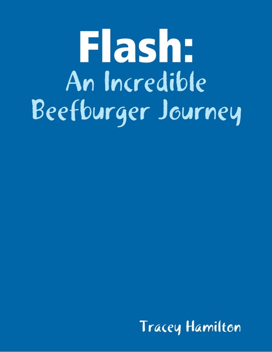 Flash: An Incredible Beefburger Journey