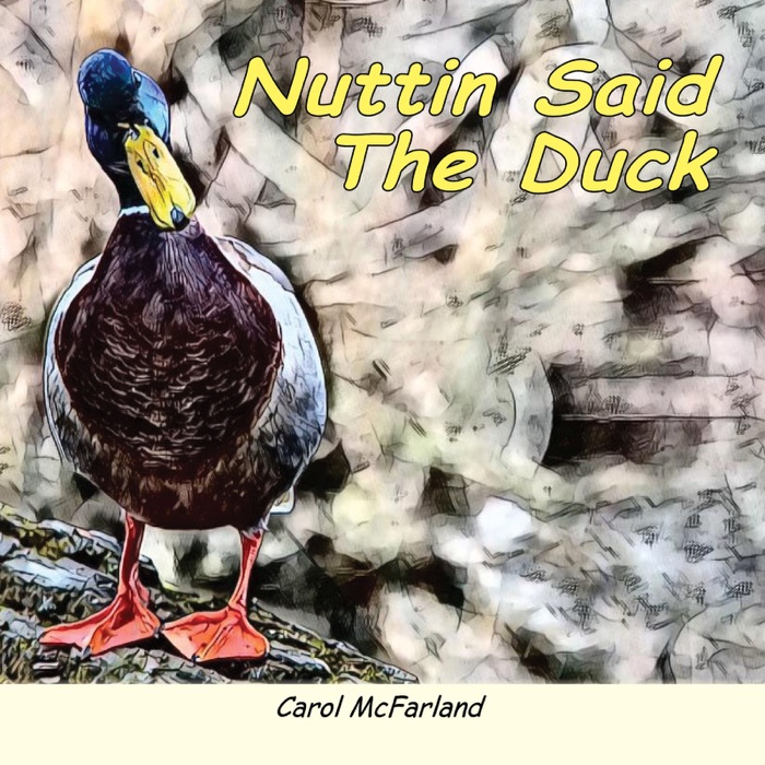 Nuttin Said The Duck