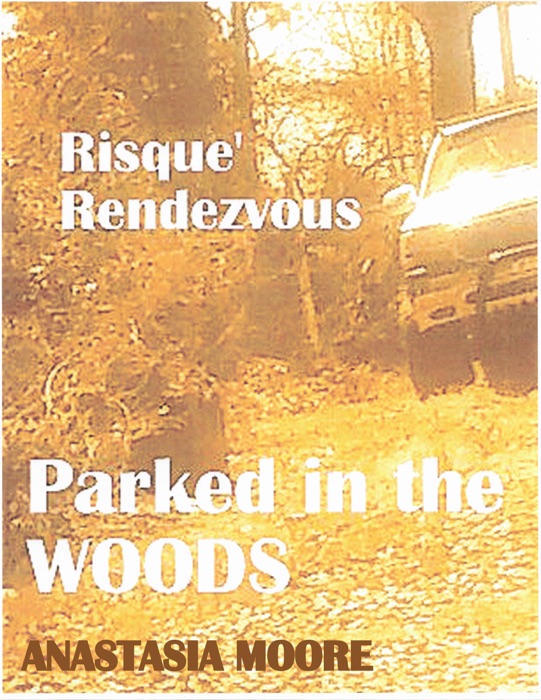 Risqué Rendezvous: Parked in the Woods