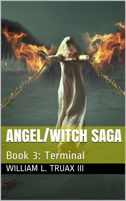 Angel/Witch Saga Book 3: Terminal