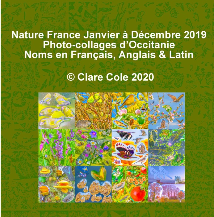 Nature France Janvier à Decembre 2019 Quelques Photocollages