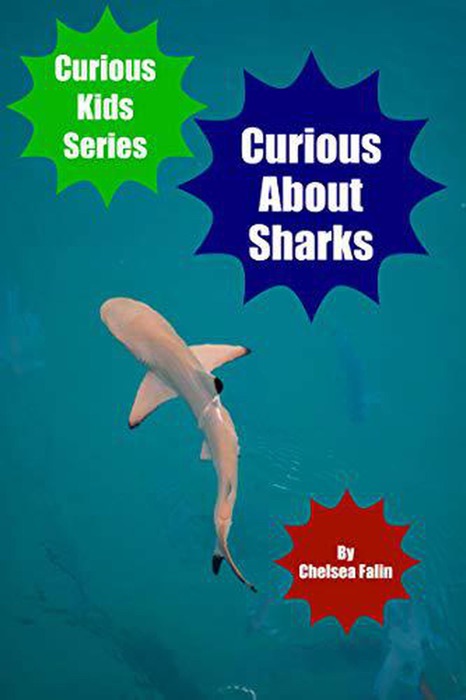 Curious About Sharks