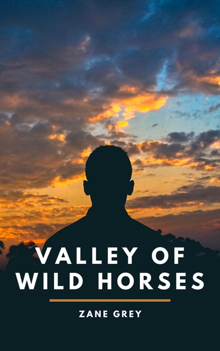 Valley of Wild Horses