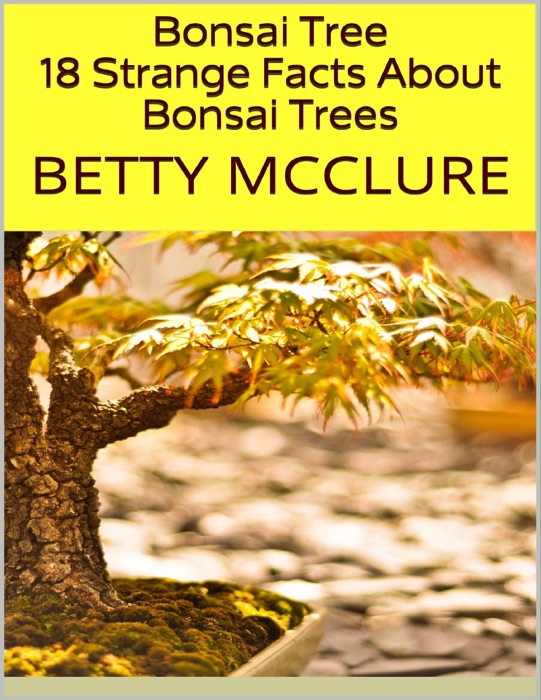 Bonsai Tree: 18 Strange Facts About Bonsai Trees