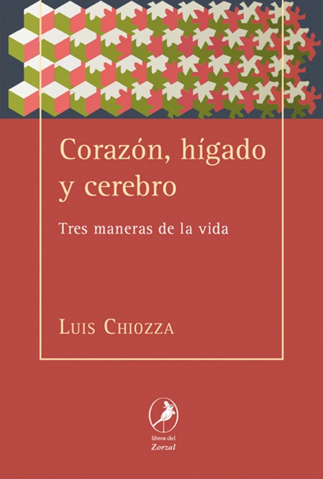 Coraz贸n, h铆gado y cerebro