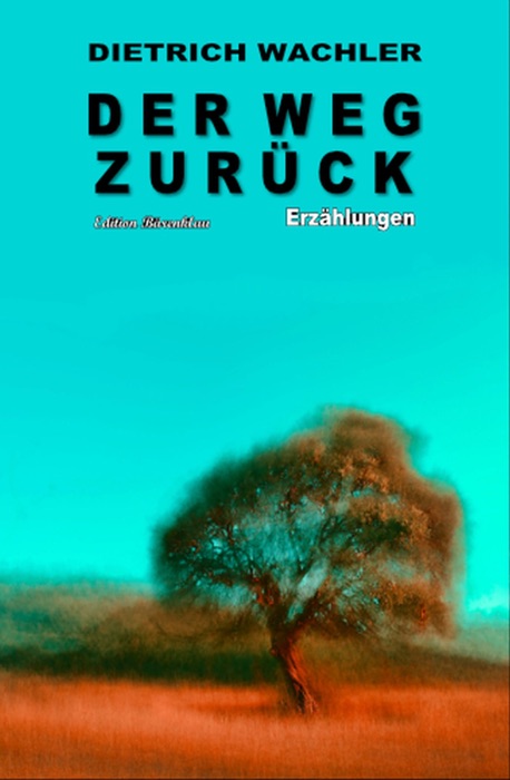 Der Weg zurück: Erzählungen