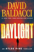 David Baldacci - Daylight artwork