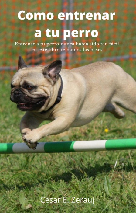 Como entrenar a tu perro   Entrenar a tu perro nunca había sido tan fácil en este libro te damos las bases