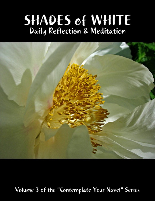 Shades of White: Daily Reflection & Meditation: Volume 3 of the 