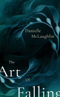 Danielle McLaughlin - The Art of Falling artwork