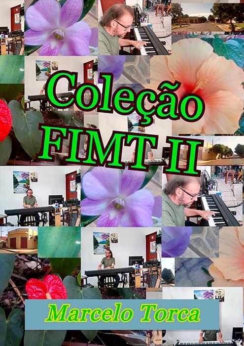 Coleção Fimt Ii