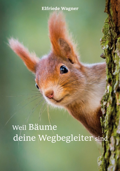 Weil Bäume deine Wegbegleiter sind