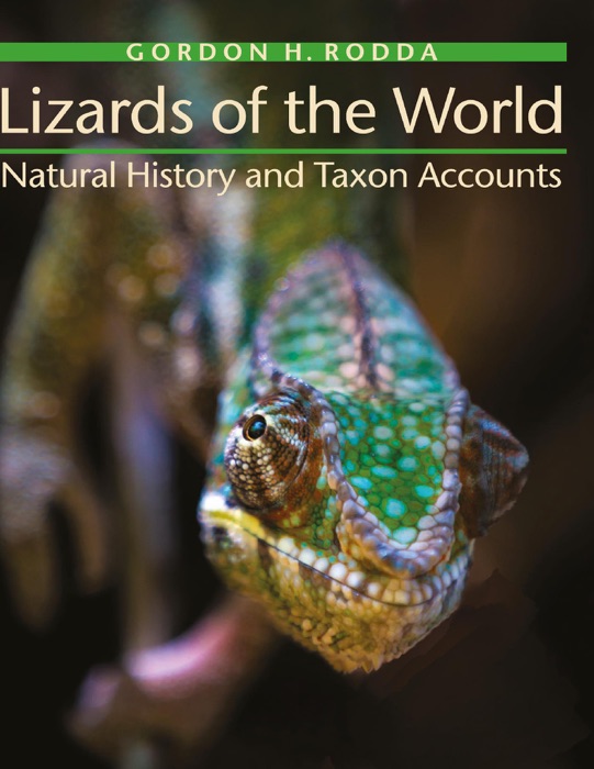 Lizards of the World