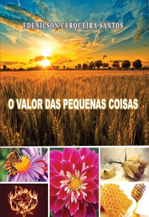 LIVRO O VALOR DAS PEQUENAS COISAS