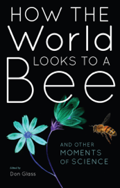 How the World Looks to a Bee