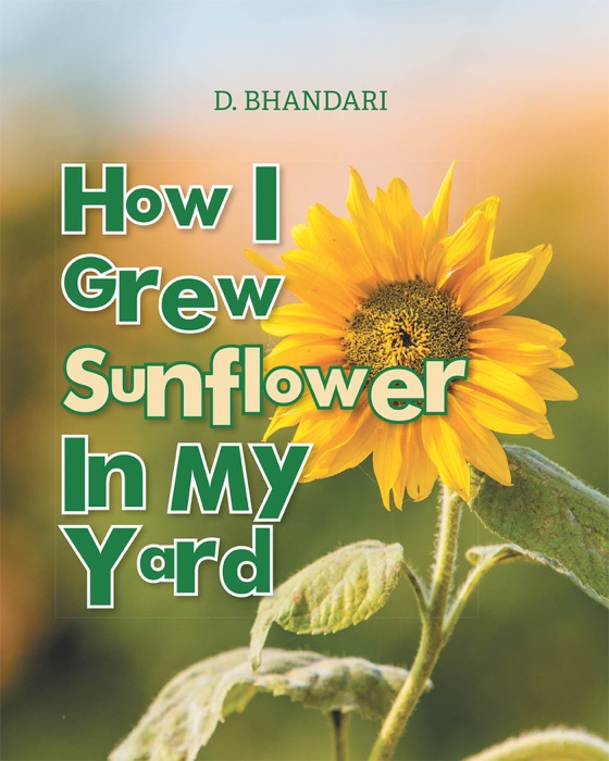 How I Grew Sunflower In My Yard