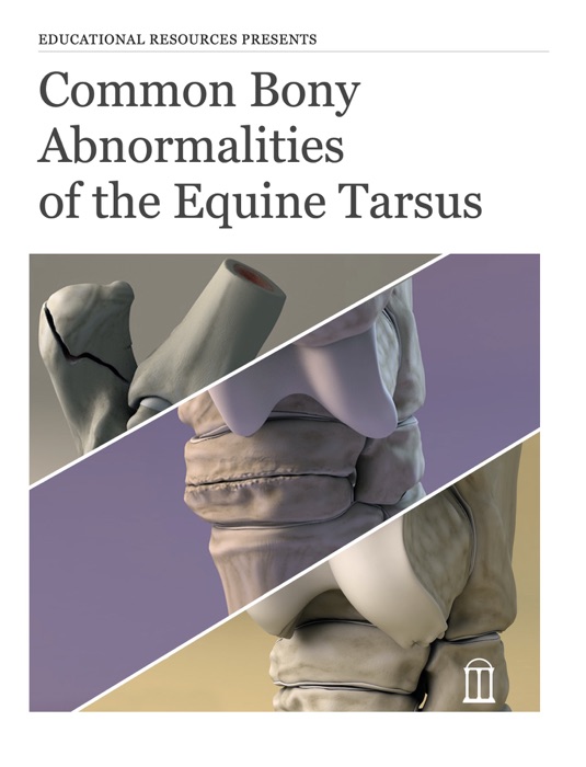 Common Bony Abnormalities of the Equine Tarsus