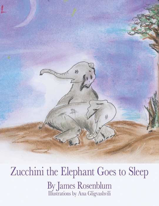 Zucchini the Elephant Goes to Sleep