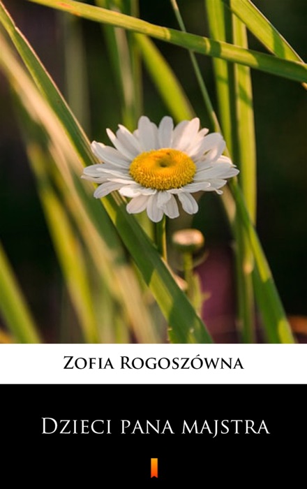 Dzieci pana majstra