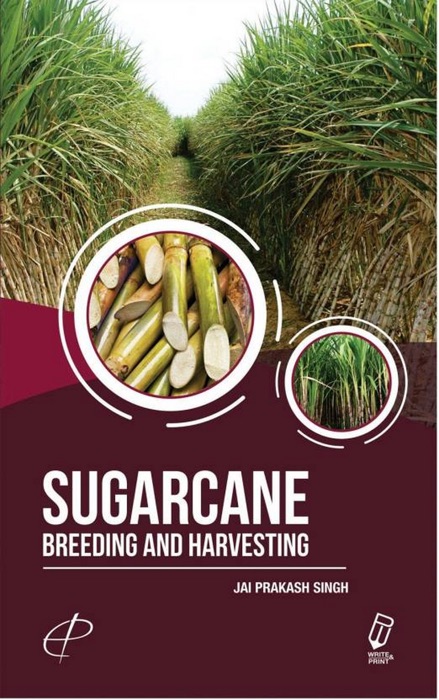 Sugarcane : Breeding and Harvesting