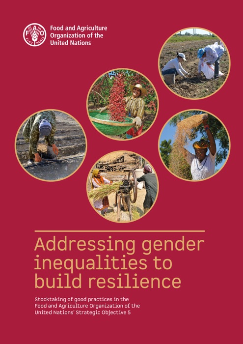 Addressing Gender Inequalities to Build Resilience: Stocktaking of Good Practices in the Food and Agriculture Organization of the United Nations’ Strategic Objective 5