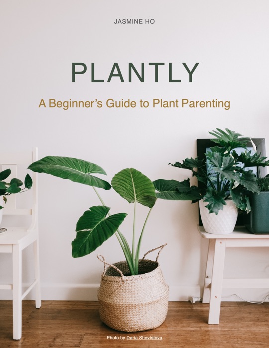 Plantly - A Beginner's Guide to Plant Parenting