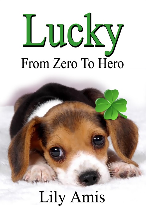 Lucky: From Zero to Hero