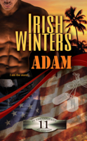 Irish Winters - Adam artwork