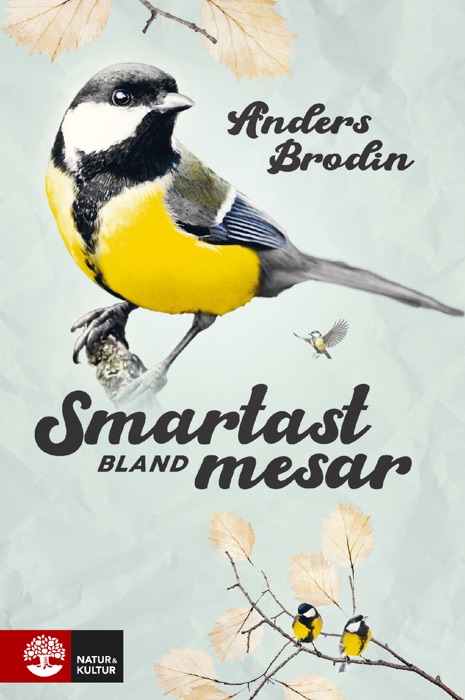 Smartast bland mesar